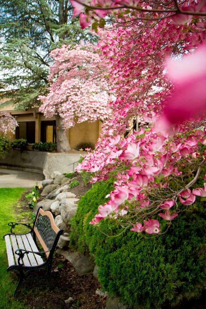 숙박 시설 구내