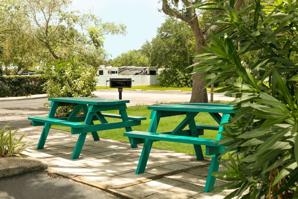 BBQ/피크닉 공간