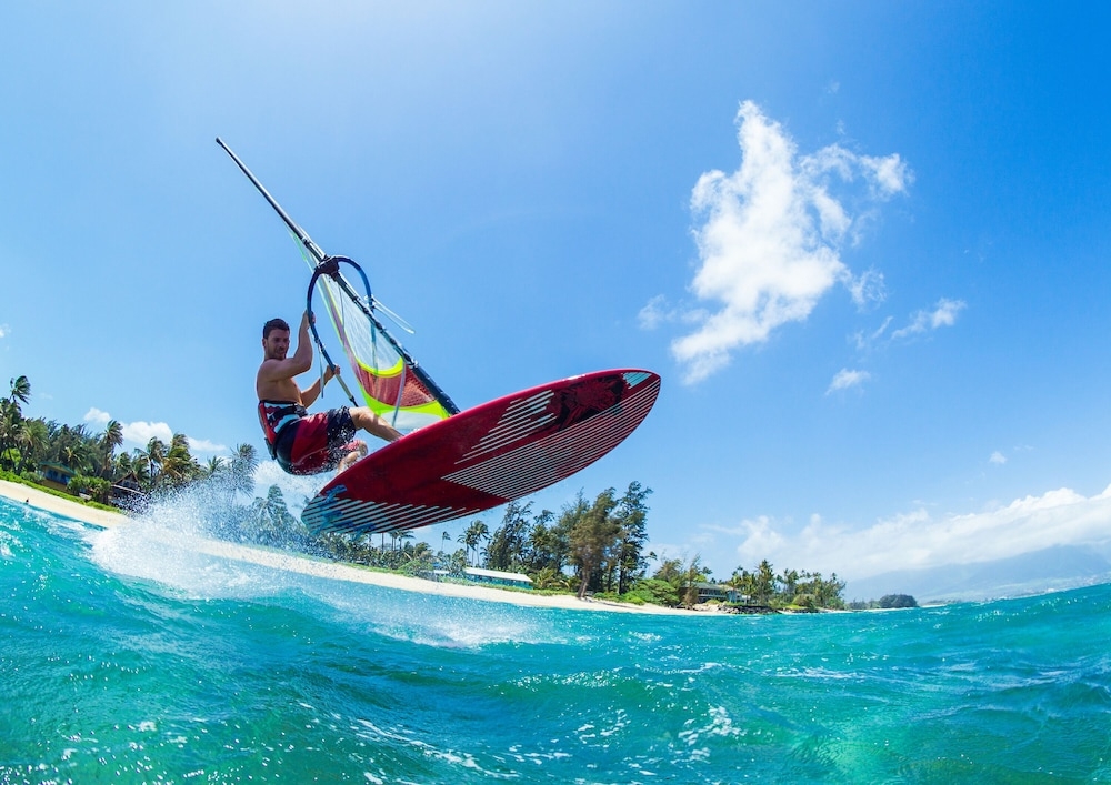 서핑/부기 보드