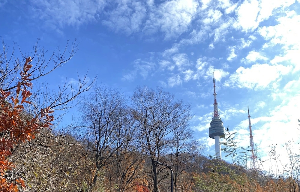 산 전망