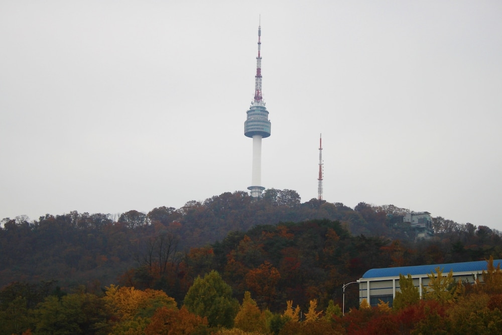 객실에서 보이는 전망