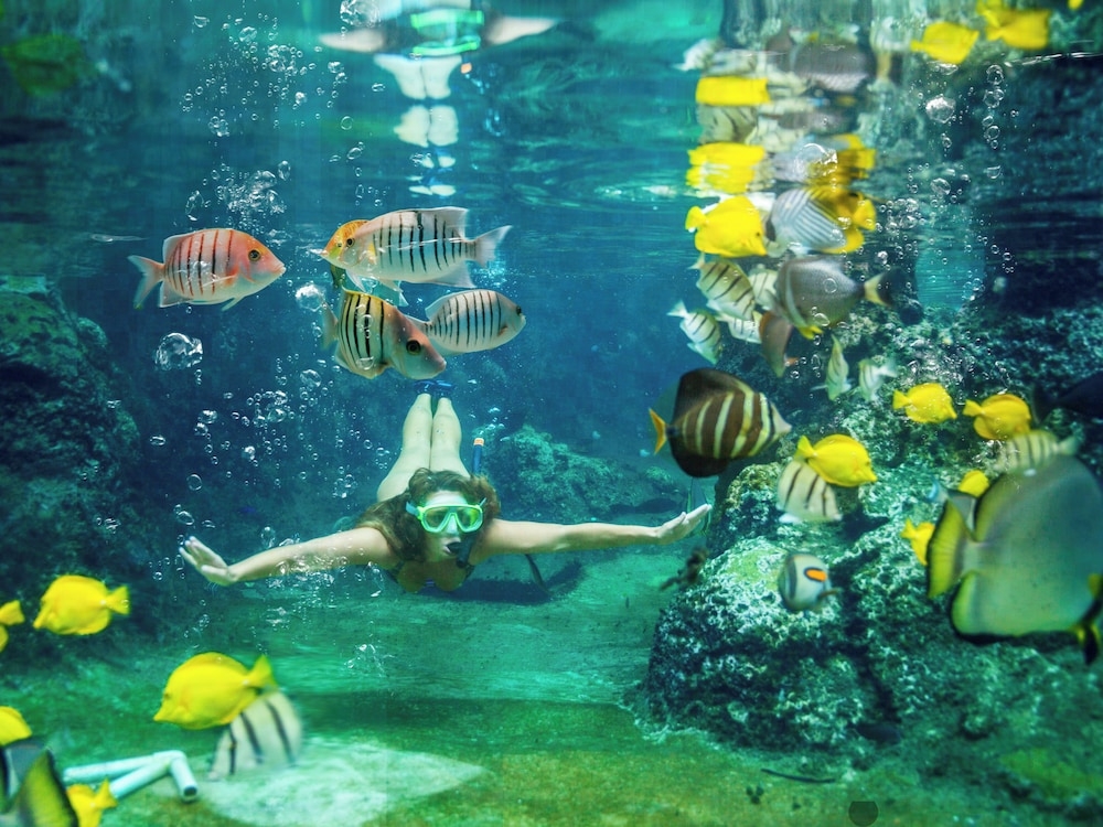 숙박 시설 내 편의 시설/서비스