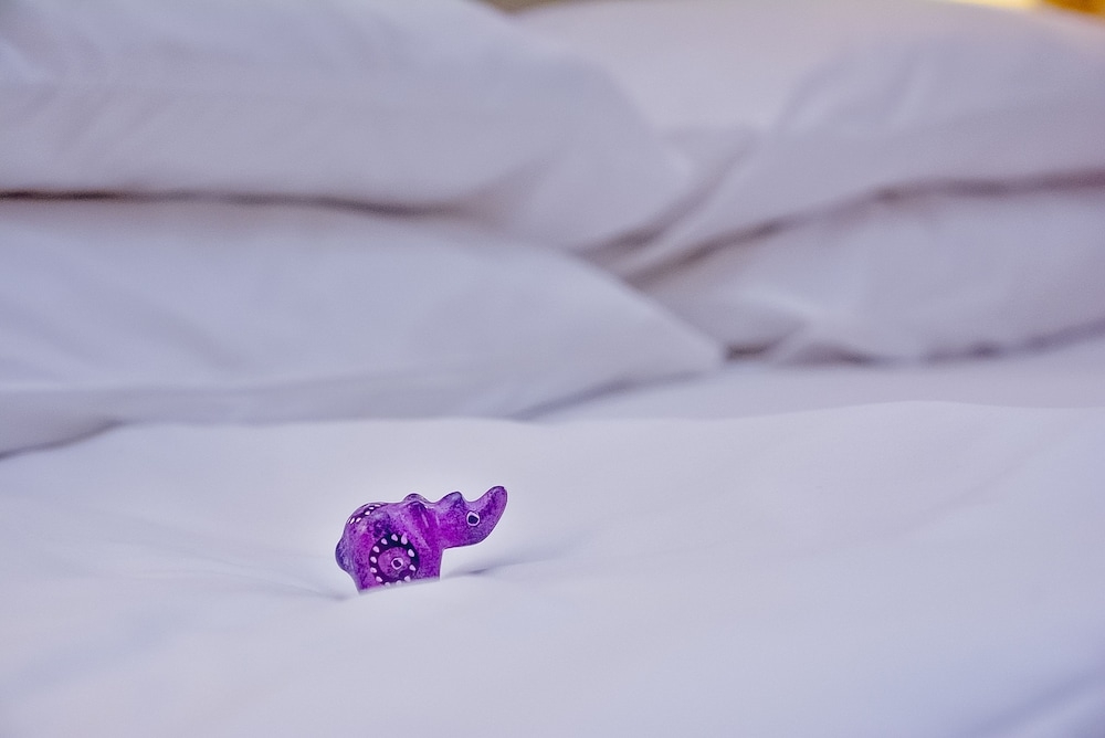 내부 세부 사진