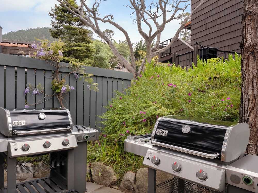 BBQ/피크닉 공간