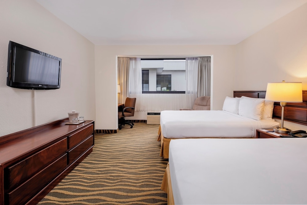 객실에서 보이는 전망