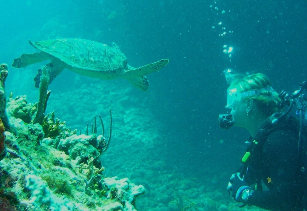 숙박 시설 내 편의 시설/서비스