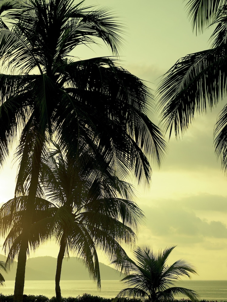 숙박 시설의 전망