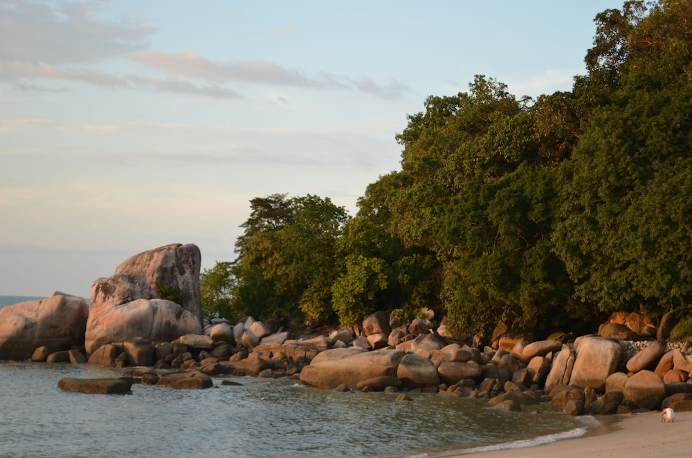 숙박 시설의 전망