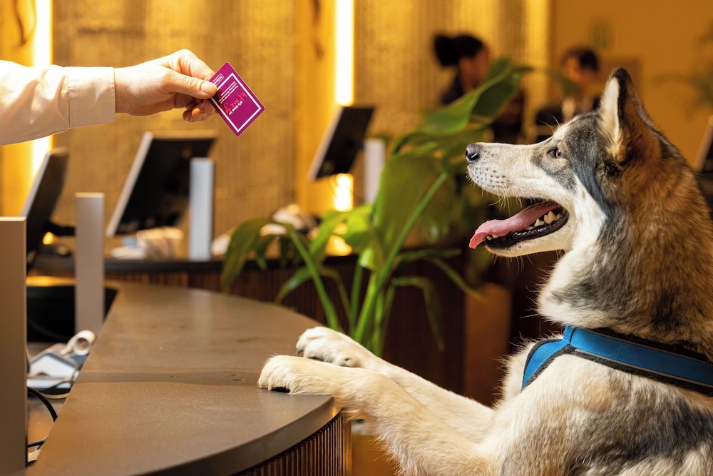 반려동물 동반 가능