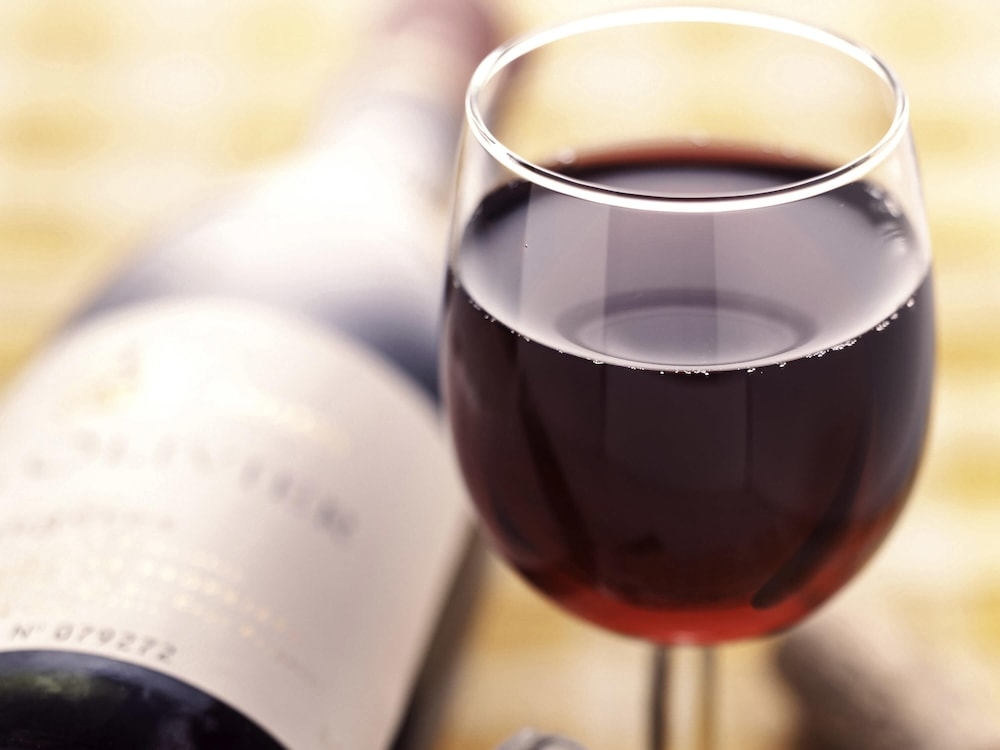 바(숙박 시설 내)