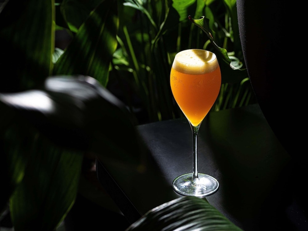 바(숙박 시설 내)