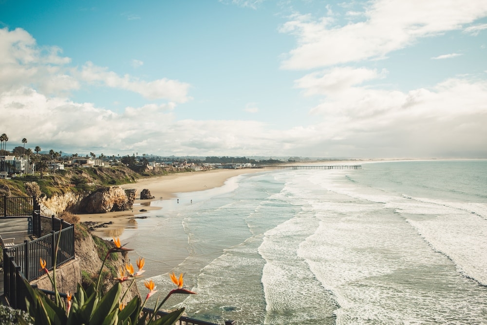 객실에서 보이는 전망