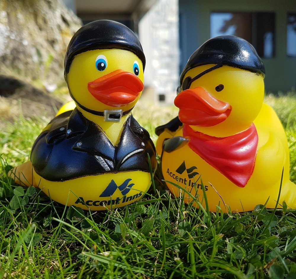 숙박 시설 내 편의 시설/서비스