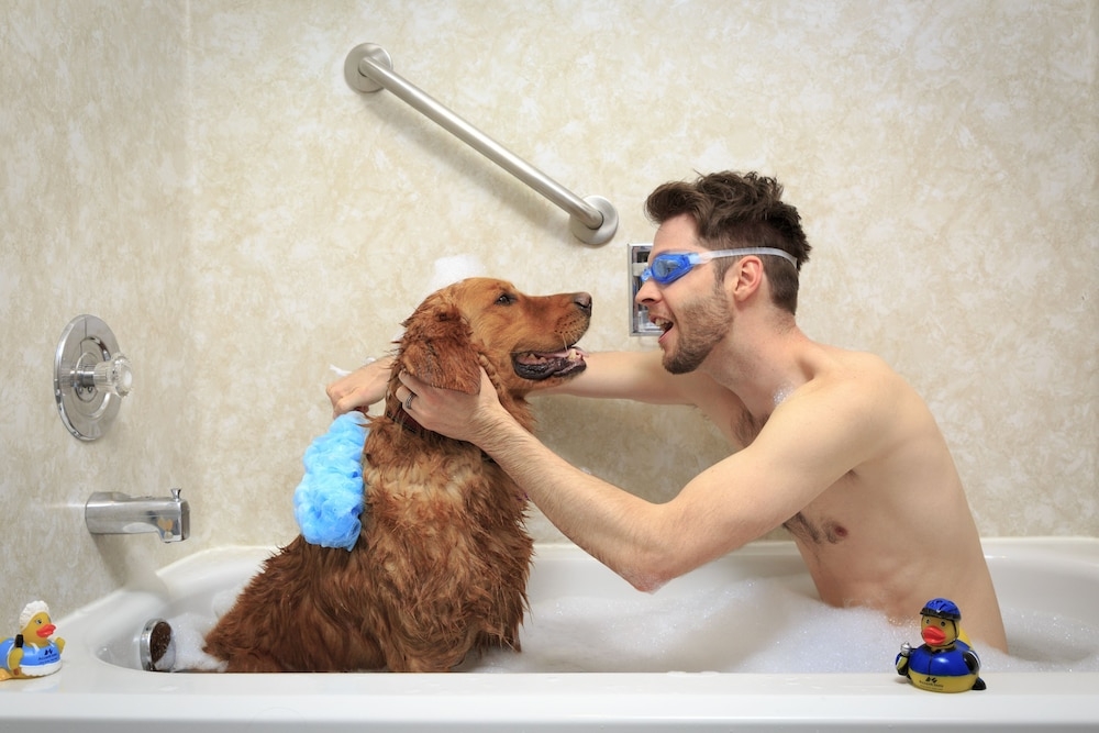 반려동물 동반 가능