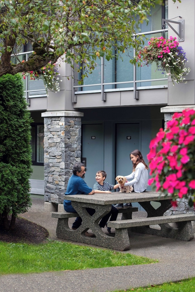 BBQ/피크닉 공간