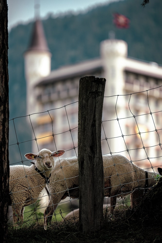 외부 세부 사진