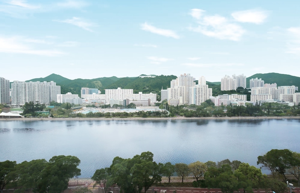 객실에서 보이는 전망