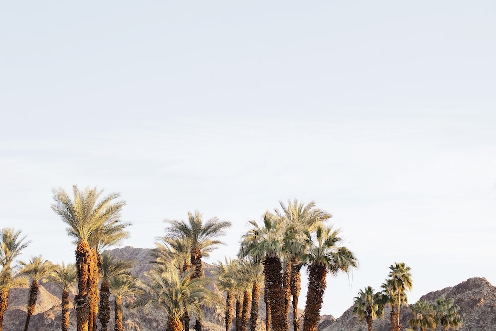 객실에서 보이는 전망