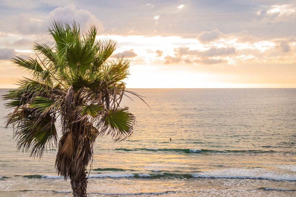 숙박 시설의 전망