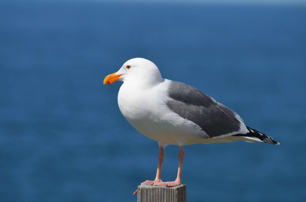 숙박 시설 구내