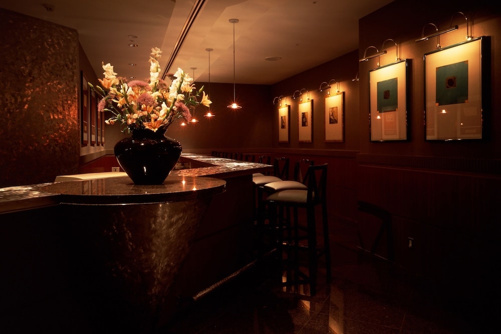 바(숙박 시설 내)