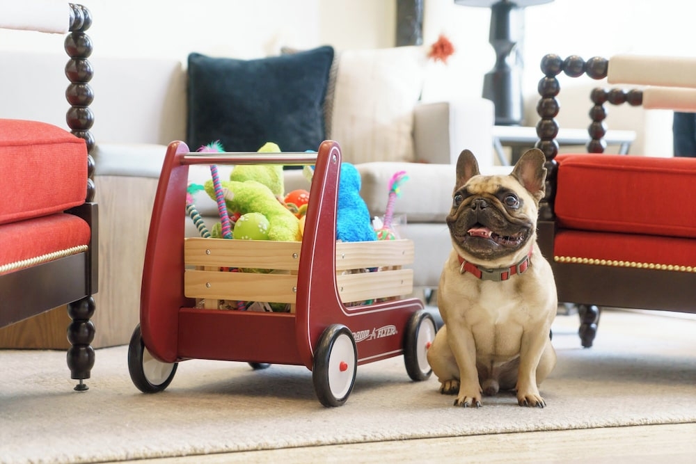 숙박 시설 내 편의 시설/서비스
