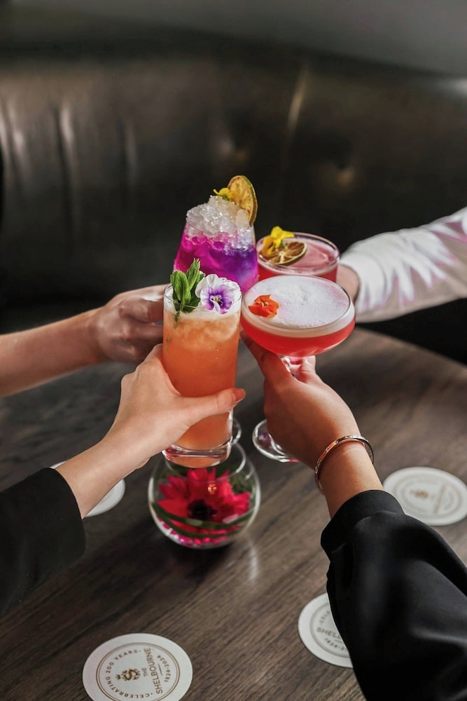 바(숙박 시설 내)