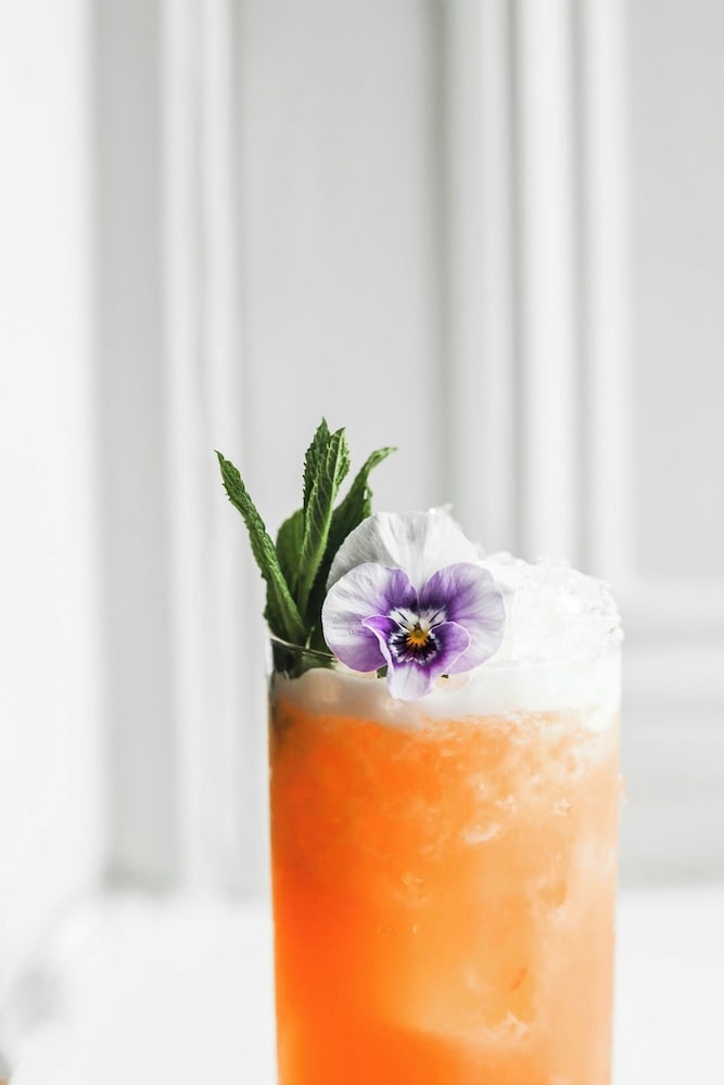 바(숙박 시설 내)