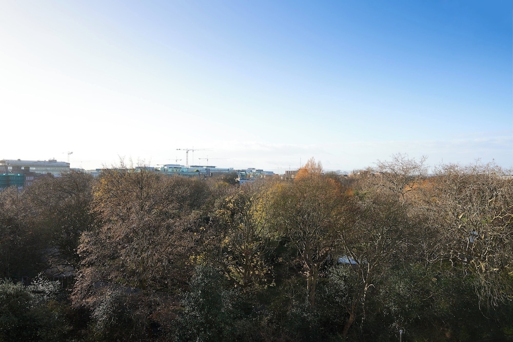 객실에서 보이는 전망