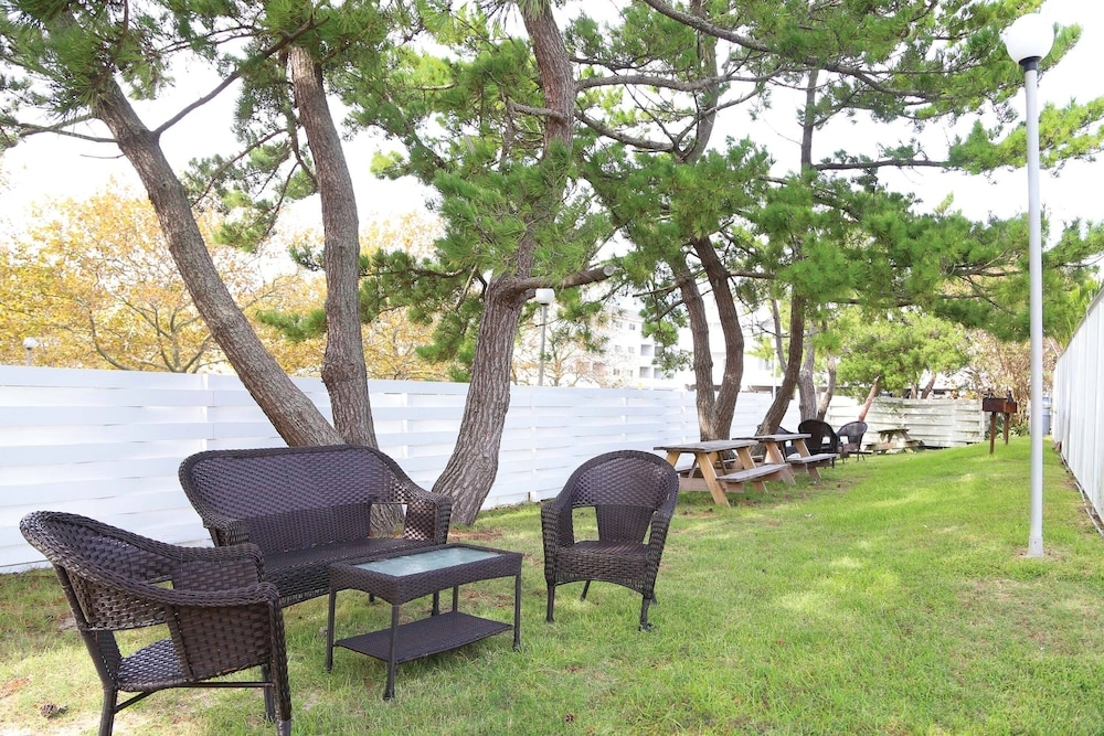 BBQ/피크닉 공간