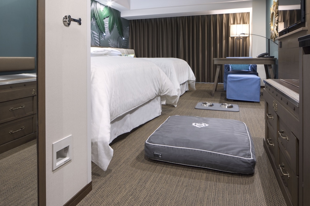 객실에서 보이는 전망