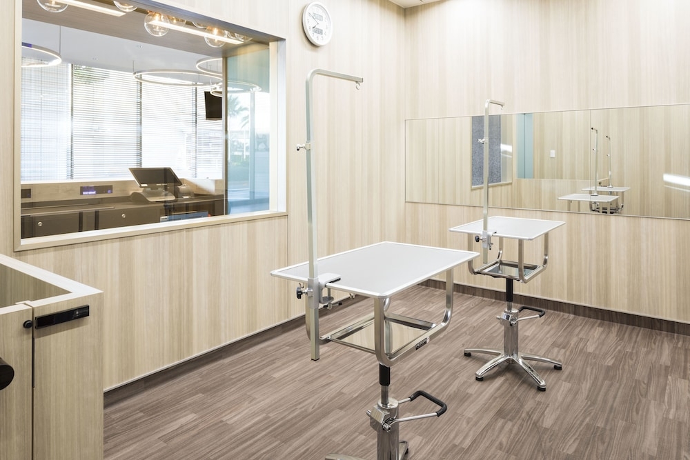 반려동물 동반 가능