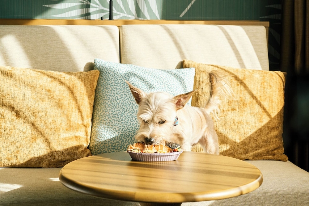 반려동물 동반 편의 시설