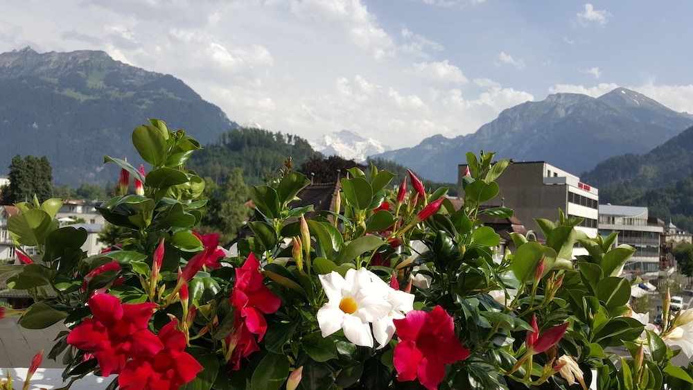 숙박 시설의 전망