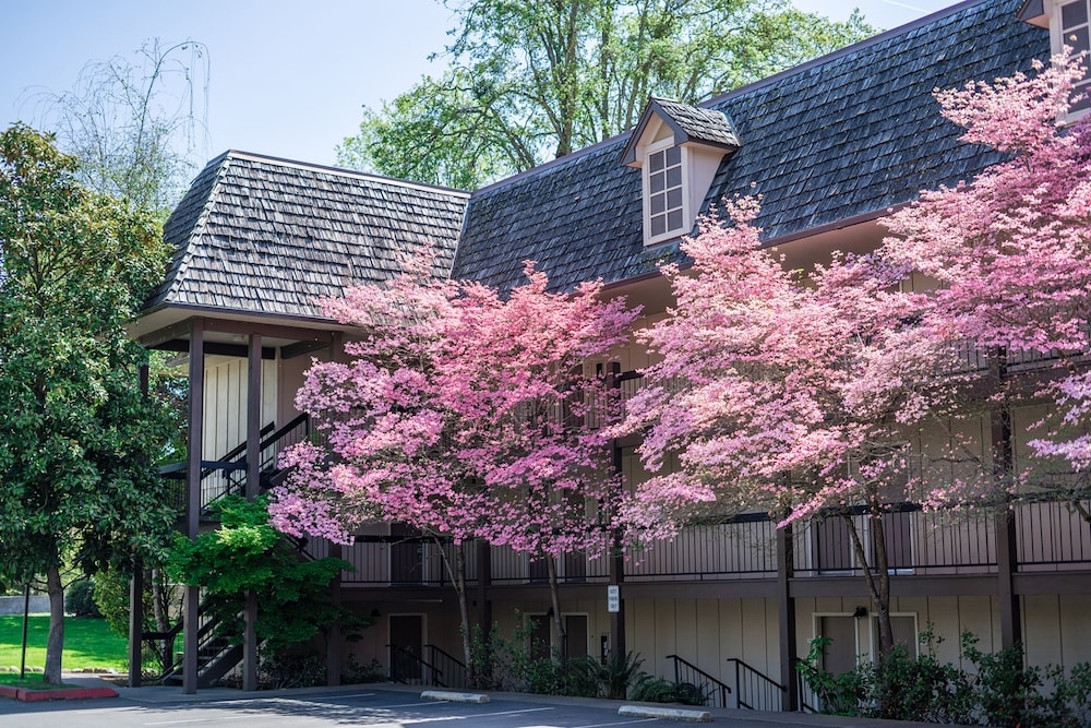 외부 세부 사진
