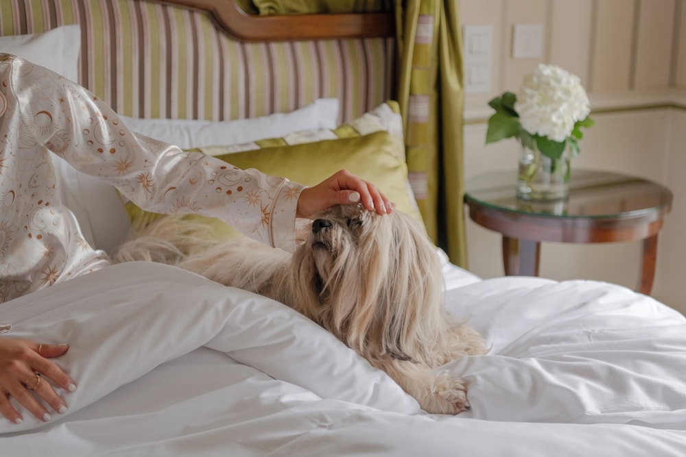 반려동물 동반 가능