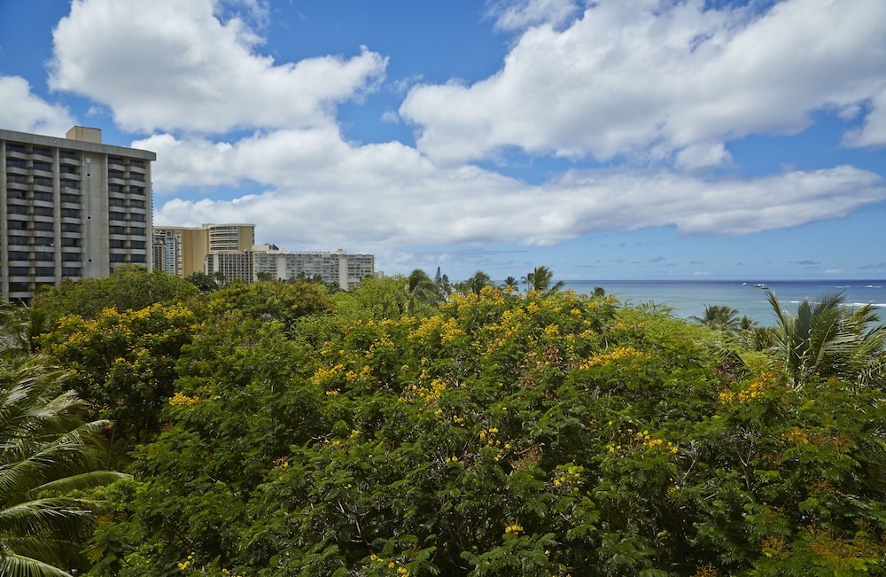 객실에서 보이는 전망