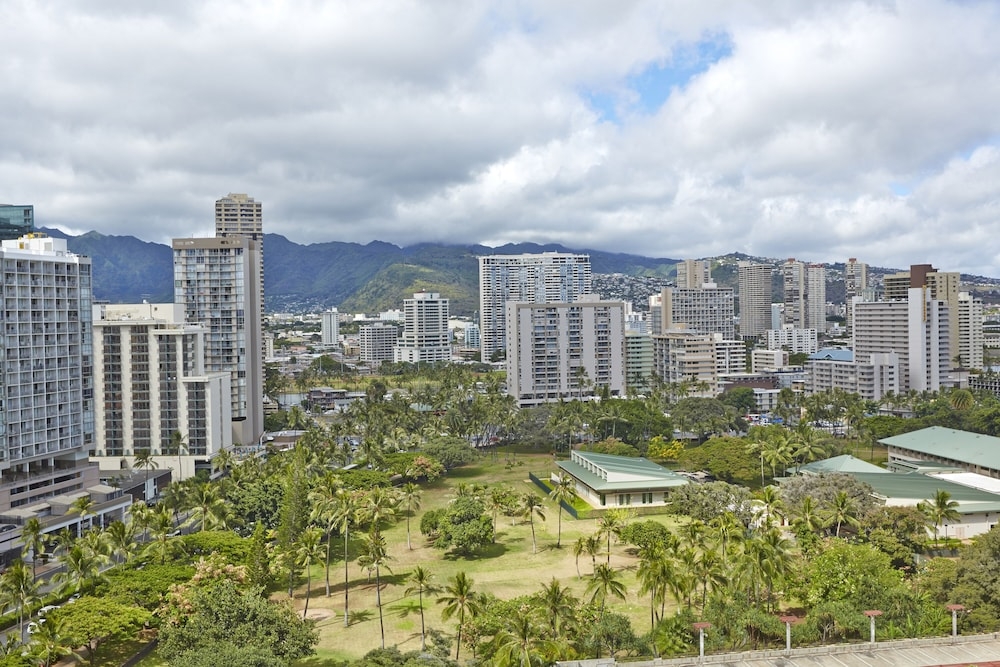 객실에서 보이는 전망