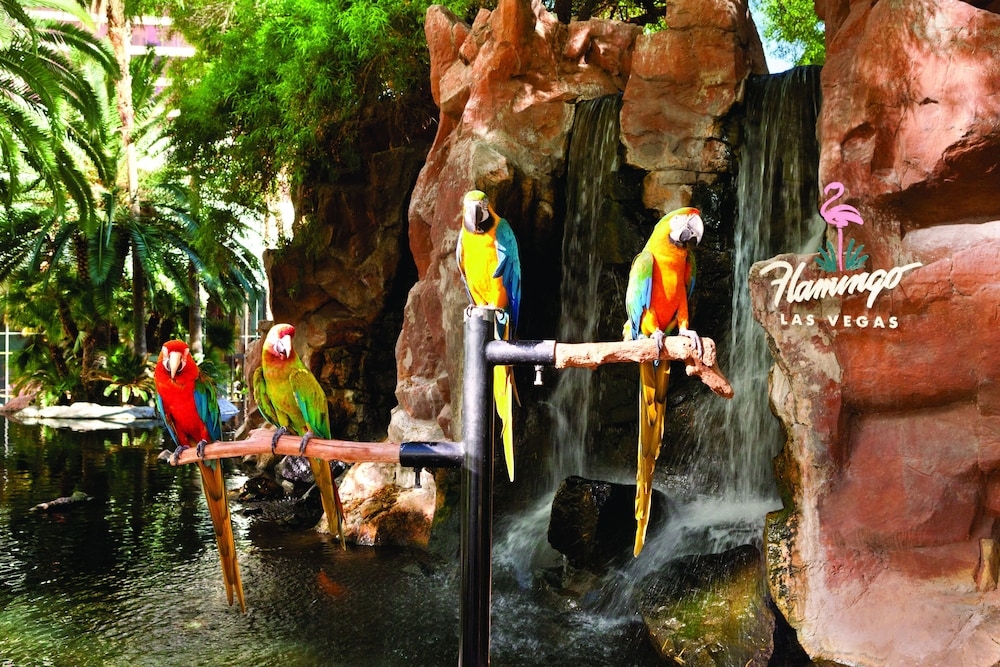 숙박 시설 구내