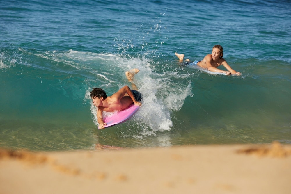 서핑/부기 보드