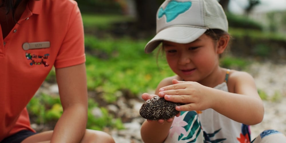 숙박 시설 내 편의 시설/서비스