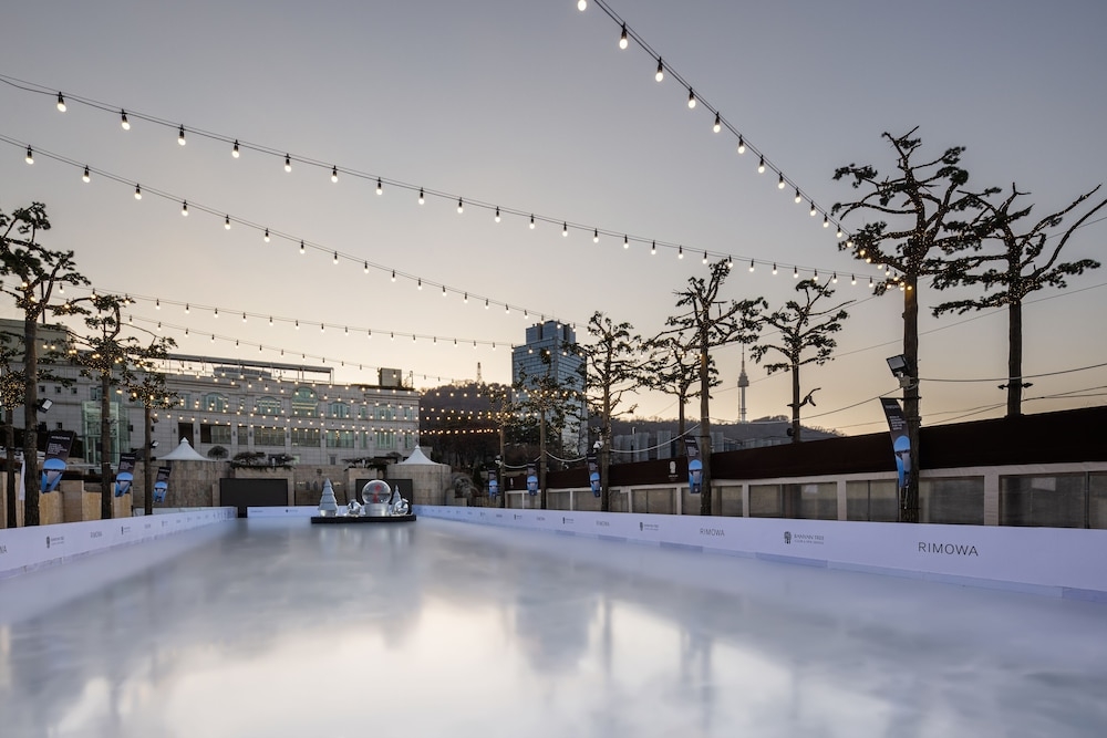 아이스 스케이팅