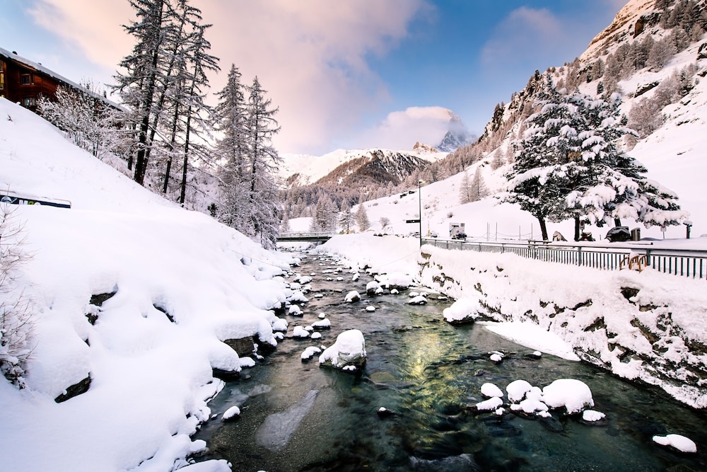 스키 및 겨울 스포츠