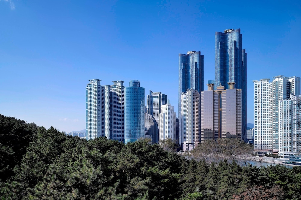 객실에서 보이는 전망