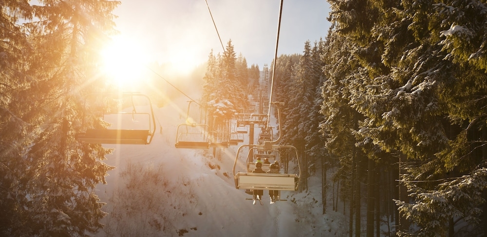 스키 및 겨울 스포츠