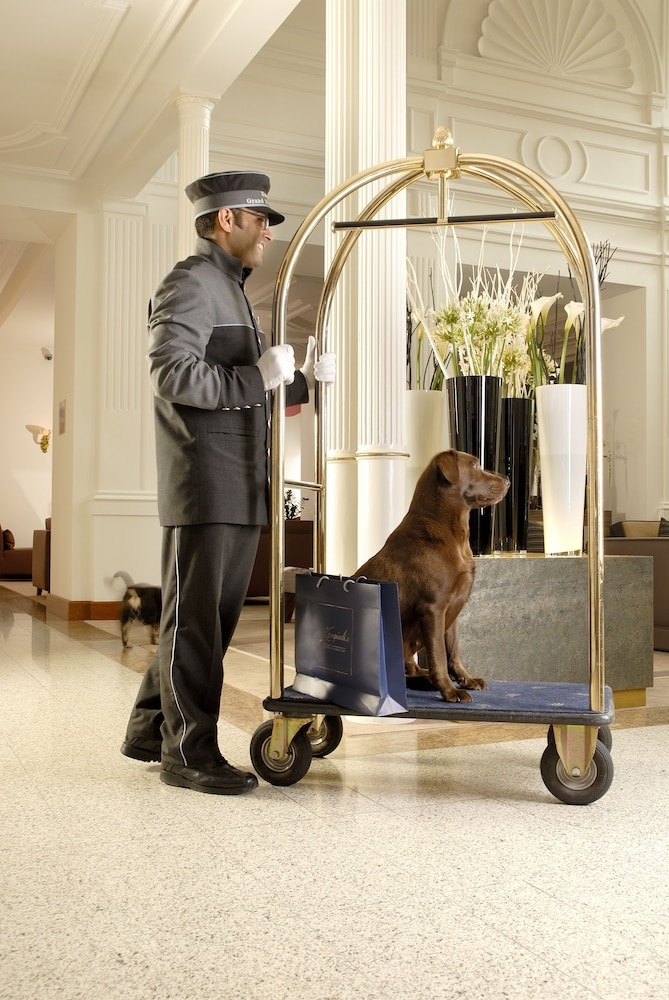 반려동물 동반 가능