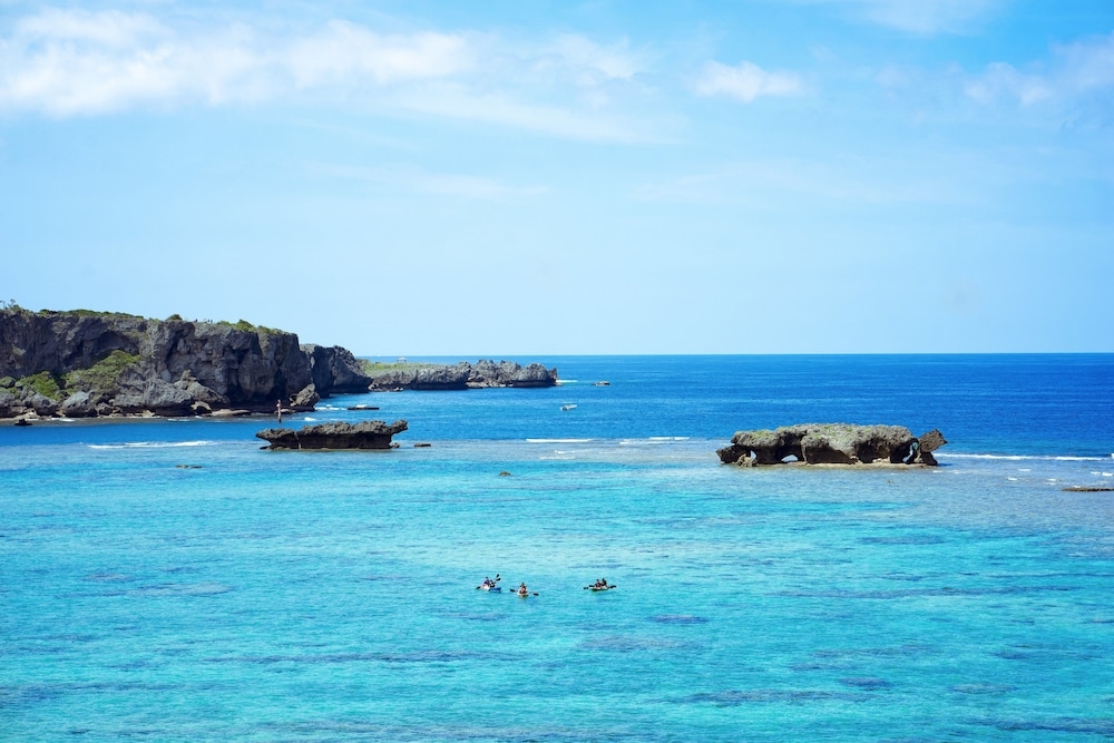 객실에서 보이는 전망