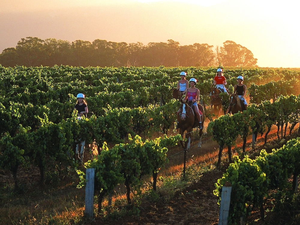 숙박 시설 내 편의 시설/서비스