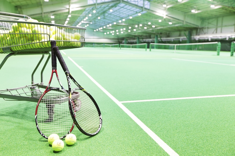 테니스 코트