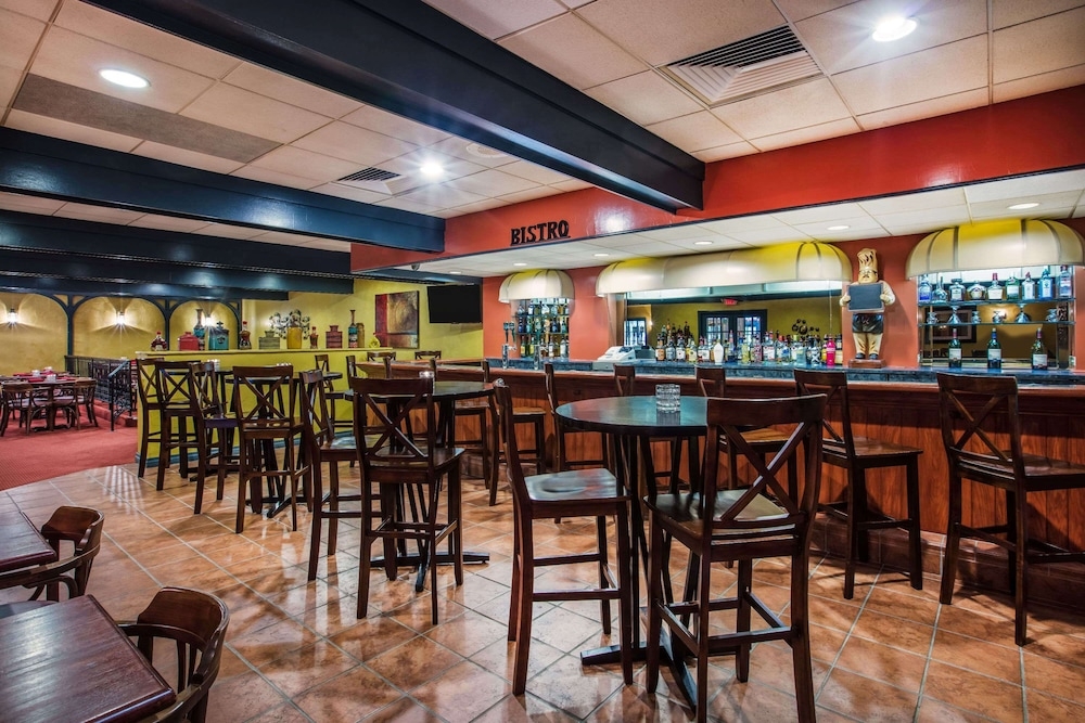 바(숙박 시설 내)